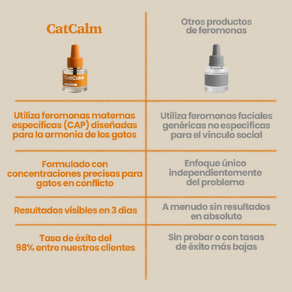 CatCalm Friends